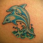 dolphin tattoo photo 21.04.2020 №048 -dolphin tattoo- tattoovalue.net