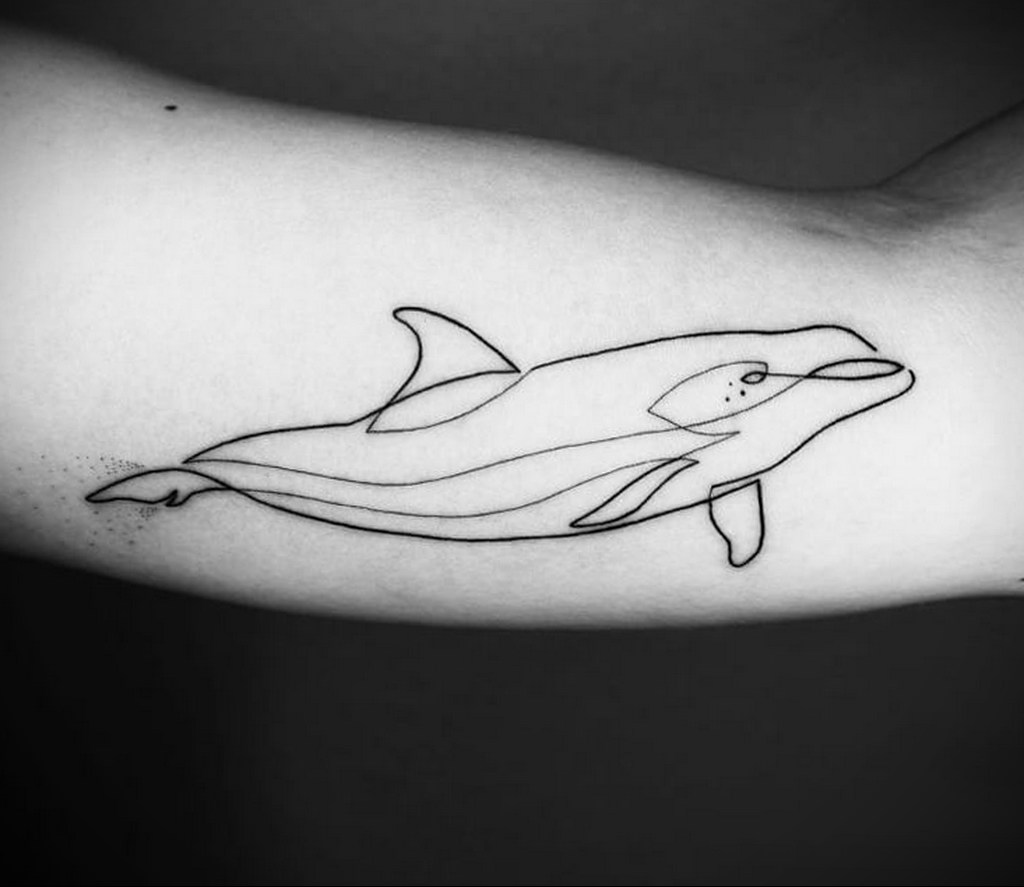 dolphin tattoo photo 21.04.2020 №049 -dolphin tattoo- tattoovalue.net