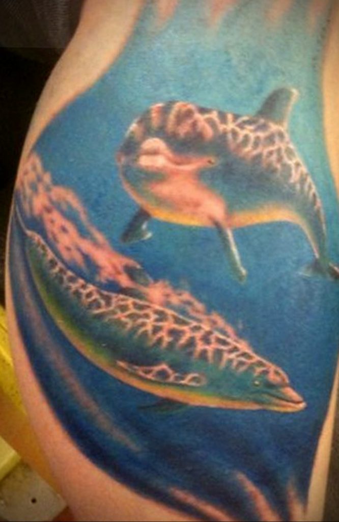 dolphin tattoo photo 21.04.2020 №051 -dolphin tattoo- tattoovalue.net