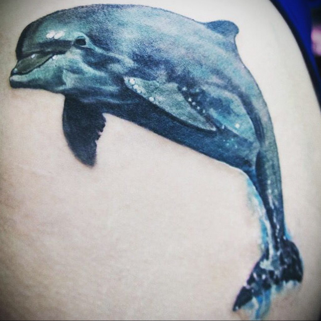 dolphin tattoo photo 21.04.2020 №052 -dolphin tattoo- tattoovalue.net