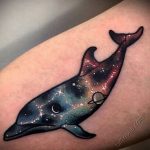 dolphin tattoo photo 21.04.2020 №062 -dolphin tattoo- tattoovalue.net