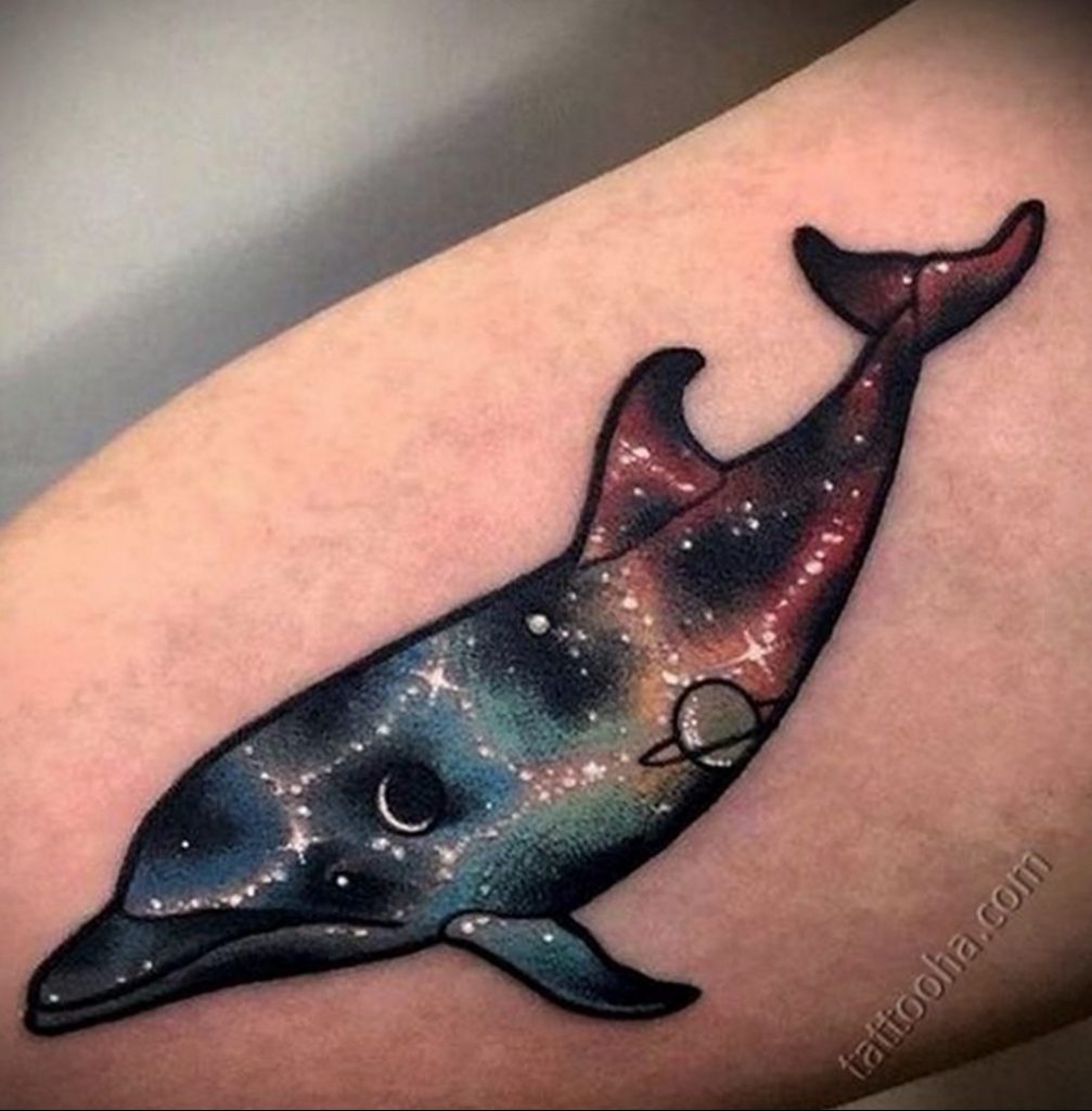 dolphin tattoo photo 21.04.2020 №062 -dolphin tattoo- tattoovalue.net
