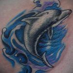 dolphin tattoo photo 21.04.2020 №065 -dolphin tattoo- tattoovalue.net