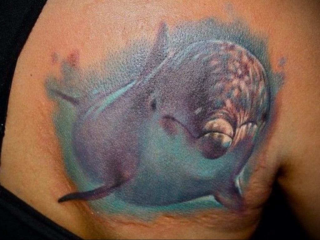 dolphin tattoo photo 21.04.2020 №067 -dolphin tattoo- tattoovalue.net