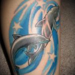 dolphin tattoo photo 21.04.2020 №069 -dolphin tattoo- tattoovalue.net