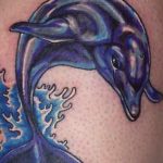 dolphin tattoo photo 21.04.2020 №070 -dolphin tattoo- tattoovalue.net
