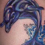 dolphin tattoo photo 21.04.2020 №071 -dolphin tattoo- tattoovalue.net
