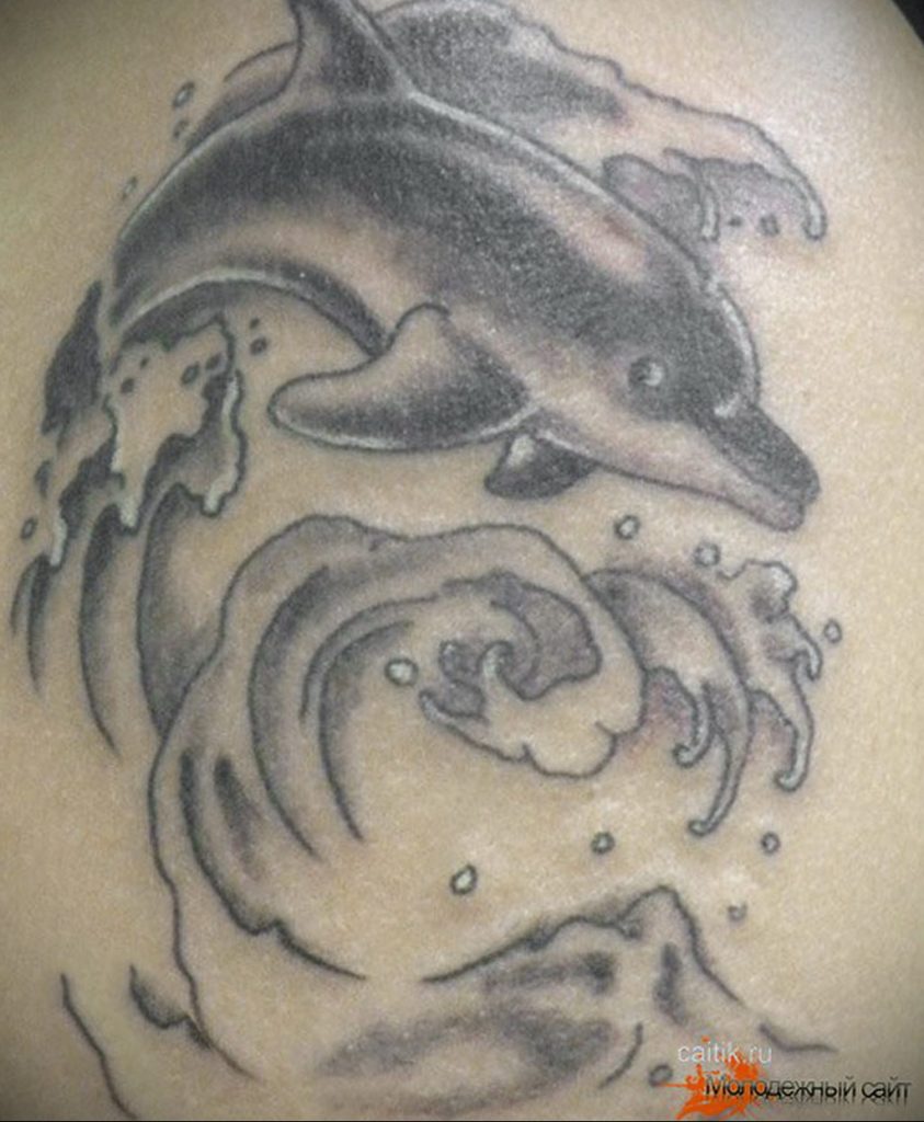 dolphin tattoo photo 21.04.2020 №072 -dolphin tattoo- tattoovalue.net