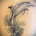dolphin tattoo photo 21.04.2020 №073 -dolphin tattoo- tattoovalue.net