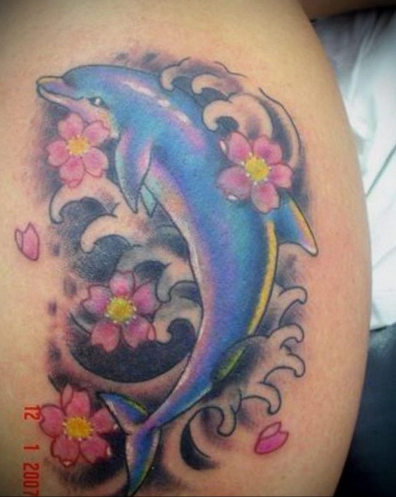 dolphin tattoo photo 21.04.2020 №076 -dolphin tattoo- tattoovalue.net