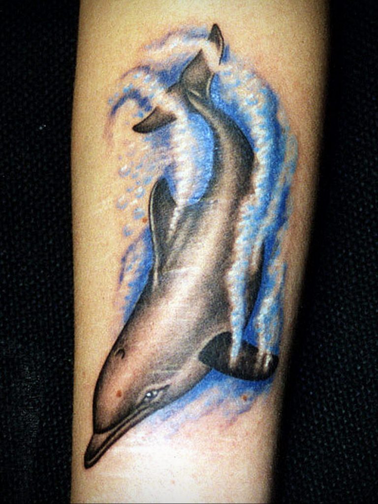 dolphin tattoo photo 21.04.2020 №077 -dolphin tattoo- tattoovalue.net