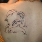 dolphin tattoo photo 21.04.2020 №084 -dolphin tattoo- tattoovalue.net