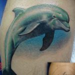 dolphin tattoo photo 21.04.2020 №088 -dolphin tattoo- tattoovalue.net