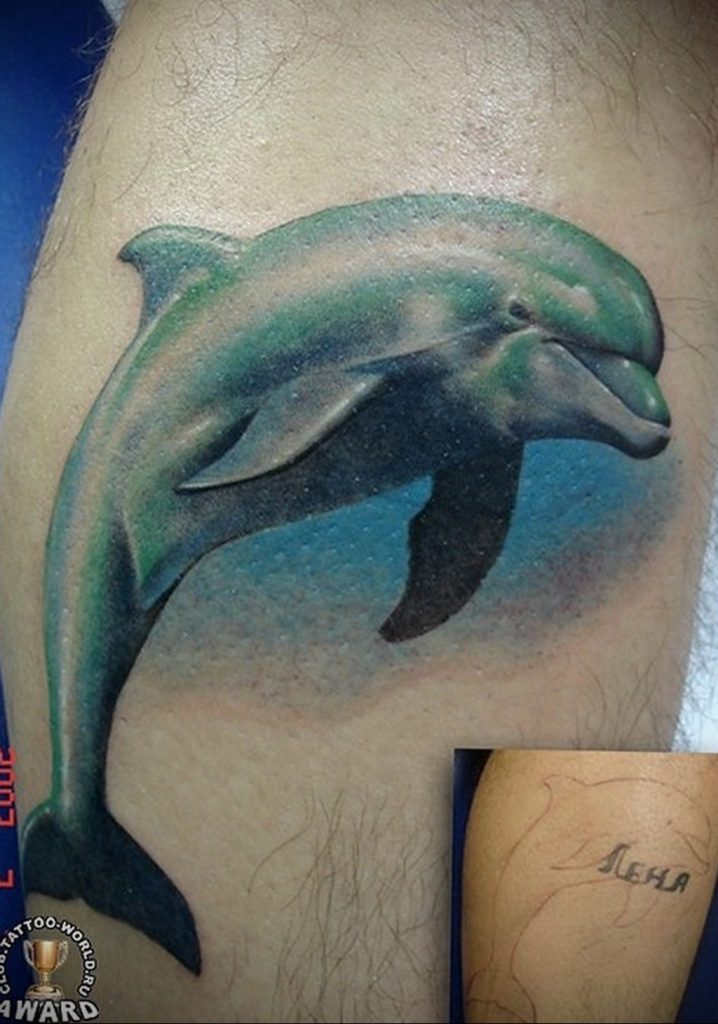 dolphin tattoo photo 21.04.2020 №088 -dolphin tattoo- tattoovalue.net