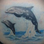 dolphin tattoo photo 21.04.2020 №094 -dolphin tattoo- tattoovalue.net