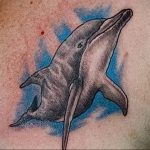 dolphin tattoo photo 21.04.2020 №096 -dolphin tattoo- tattoovalue.net
