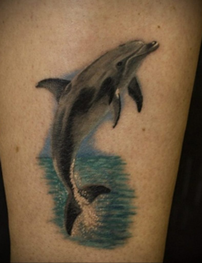 dolphin tattoo photo 21.04.2020 №097 -dolphin tattoo- tattoovalue.net