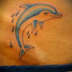 dolphin tattoo photo 21.04.2020 №102 -dolphin tattoo- tattoovalue.net