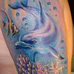 dolphin tattoo photo 21.04.2020 №110 -dolphin tattoo- tattoovalue.net