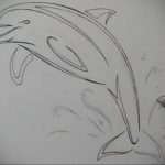 dolphin tattoo photo 21.04.2020 №113 -dolphin tattoo- tattoovalue.net