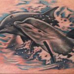 dolphin tattoo photo 21.04.2020 №114 -dolphin tattoo- tattoovalue.net