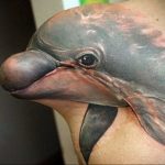 dolphin tattoo photo 21.04.2020 №116 -dolphin tattoo- tattoovalue.net