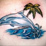 dolphin tattoo photo 21.04.2020 №122 -dolphin tattoo- tattoovalue.net