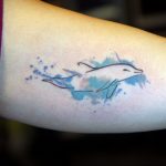 dolphin tattoo photo 21.04.2020 №133 -dolphin tattoo- tattoovalue.net