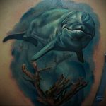 dolphin tattoo photo 21.04.2020 №138 -dolphin tattoo- tattoovalue.net