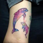 dolphin tattoo photo 21.04.2020 №145 -dolphin tattoo- tattoovalue.net