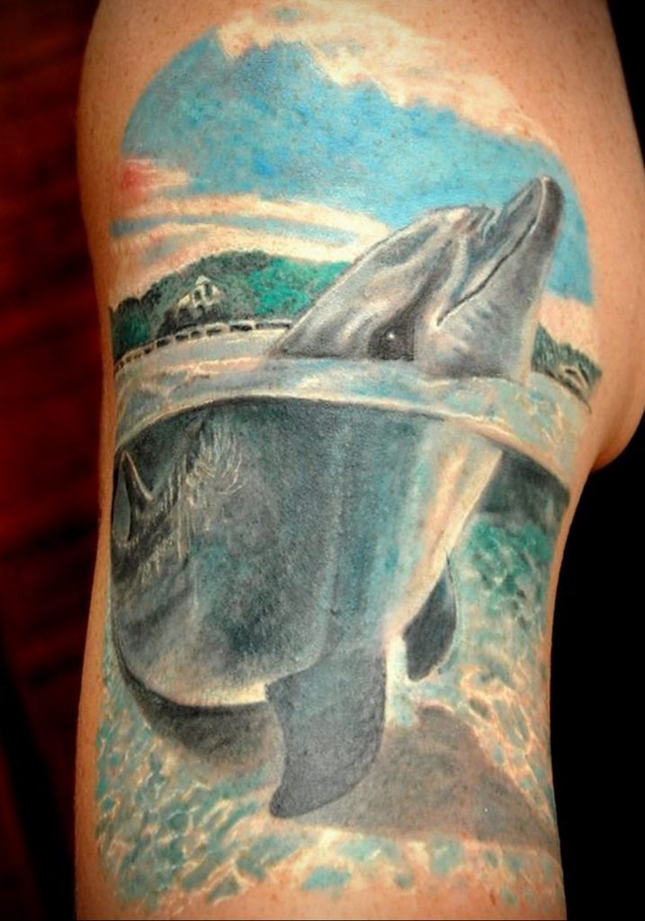 dolphin tattoo photo 21.04.2020 №151 -dolphin tattoo- tattoovalue.net