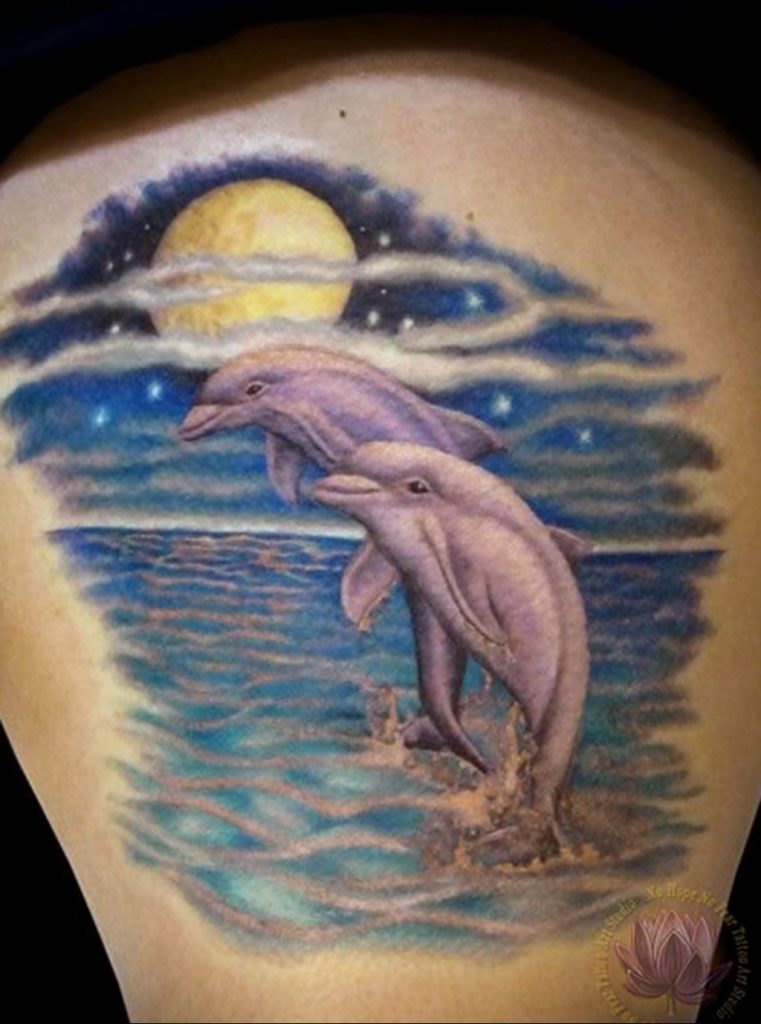 dolphin tattoo photo 21.04.2020 №158 -dolphin tattoo- tattoovalue.net