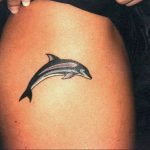 dolphin tattoo photo 21.04.2020 №160 -dolphin tattoo- tattoovalue.net