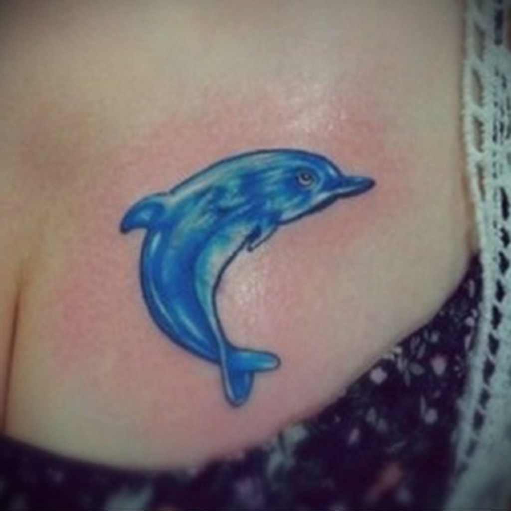 dolphin tattoo photo 21.04.2020 №168 -dolphin tattoo- tattoovalue.net