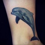 dolphin tattoo photo 21.04.2020 №170 -dolphin tattoo- tattoovalue.net