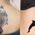 dolphin tattoo photo 21.04.2020 №173 -dolphin tattoo- tattoovalue.net