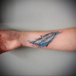 dolphin tattoo photo 21.04.2020 №176 -dolphin tattoo- tattoovalue.net