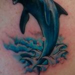dolphin tattoo photo 21.04.2020 №185 -dolphin tattoo- tattoovalue.net