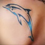 dolphin tattoo photo 21.04.2020 №186 -dolphin tattoo- tattoovalue.net