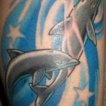 dolphin tattoo photo 21.04.2020 №189 -dolphin tattoo- tattoovalue.net