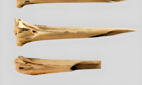 Archaeologists Discover the World’s Oldest Tattoo Needles - 2025 - №01 - tattoovalue.net