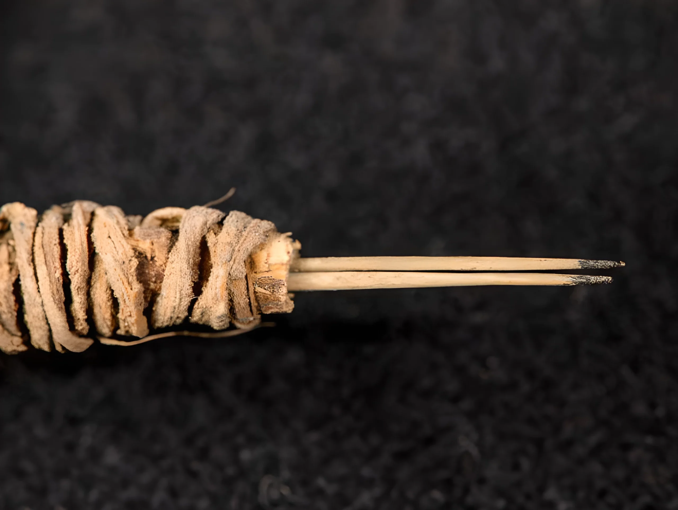 Archaeologists Discover the World’s Oldest Tattoo Needles - 2025 - №02 - tattoovalue.net