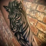 Zebra Tattoo Meaning – Symbolism - 143 - tattoovalue.net