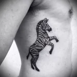 Zebra Tattoo Meaning – Symbolism - 74 - tattoovalue.net