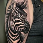 Zebra Tattoo Meaning – Symbolism - 82 - tattoovalue.net