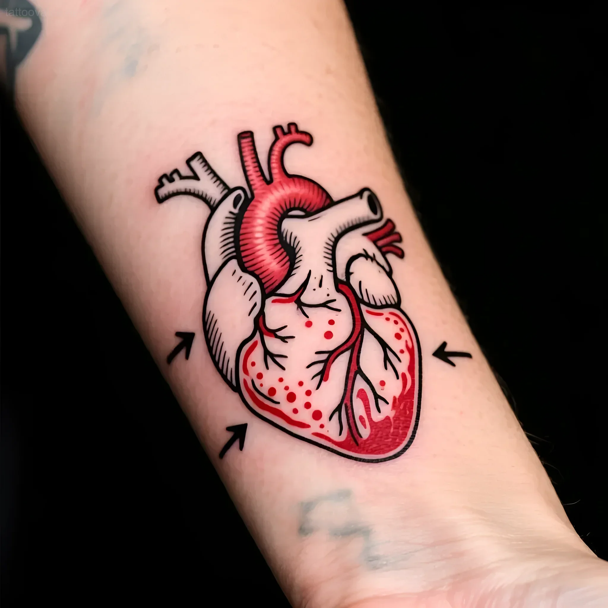 Traditional style anatomical heart tattoo with black outlines and vibrant red fill, featuring directional arrows on a forearm.