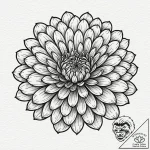 Zinnia flower, known for its bright, multi-la… – tattoo sketch (№1753419125_0, 25.07.2025 04:52) — tattoovalue.net