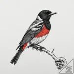 Tattoo sketch red-winged blackbird, tattoo li… – tattoo sketch (№1756670140_0, 31.08.2025 19:55) — tattoovalue.net