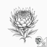 Tattoo sketch protea neriifolia, ink illustra… – tattoo sketch (№1756801864_0, 02.09.2025 08:31) — tattoovalue.net