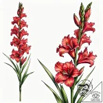 Gladiolus – style Jaeger Simple – tattoo sketch (11.11.2025 20:55)